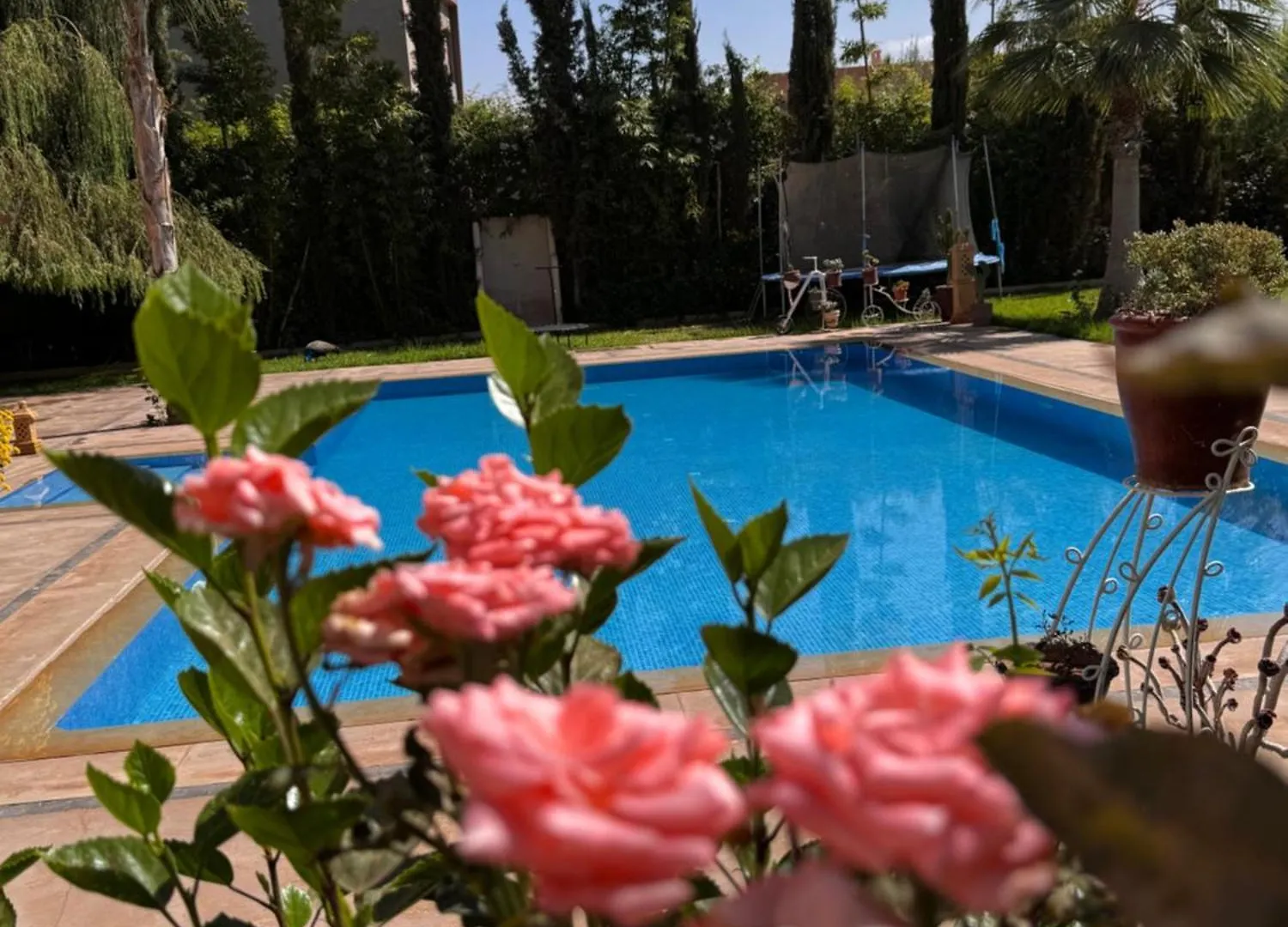 Les Jardins D'Ailleurs Villa Marrakesh